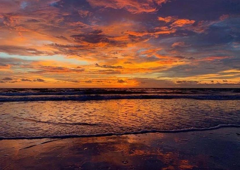 Private Room In A 2 Bedroom 1 Bathroom Shared With Host, On The Beach, Surrounded By Resorts, Only 2 People Max St. Pete Beach Kültér fotó